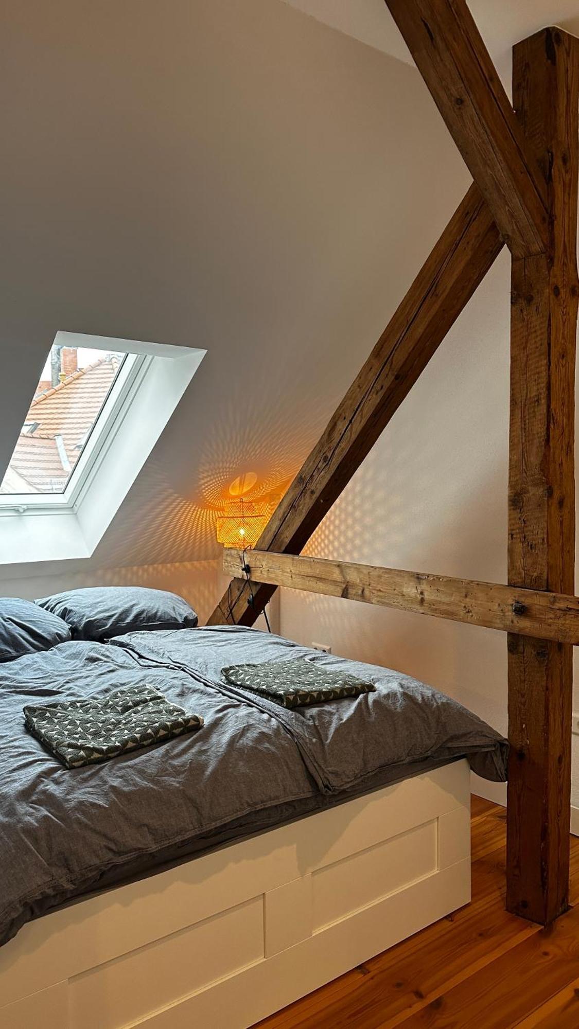 Ruhige-Moderne Wohnung Mit Burgblick Meißen Exterior foto